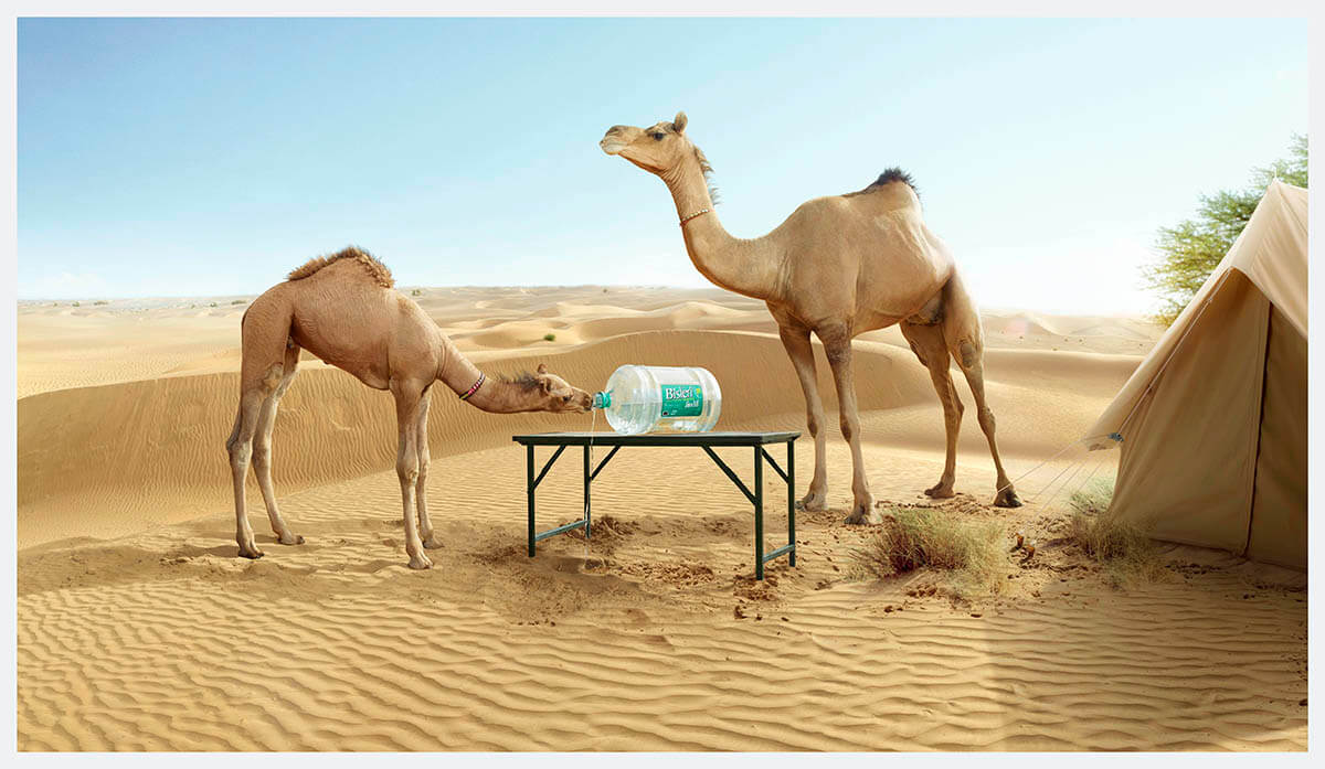 Bisleri Camel Ad