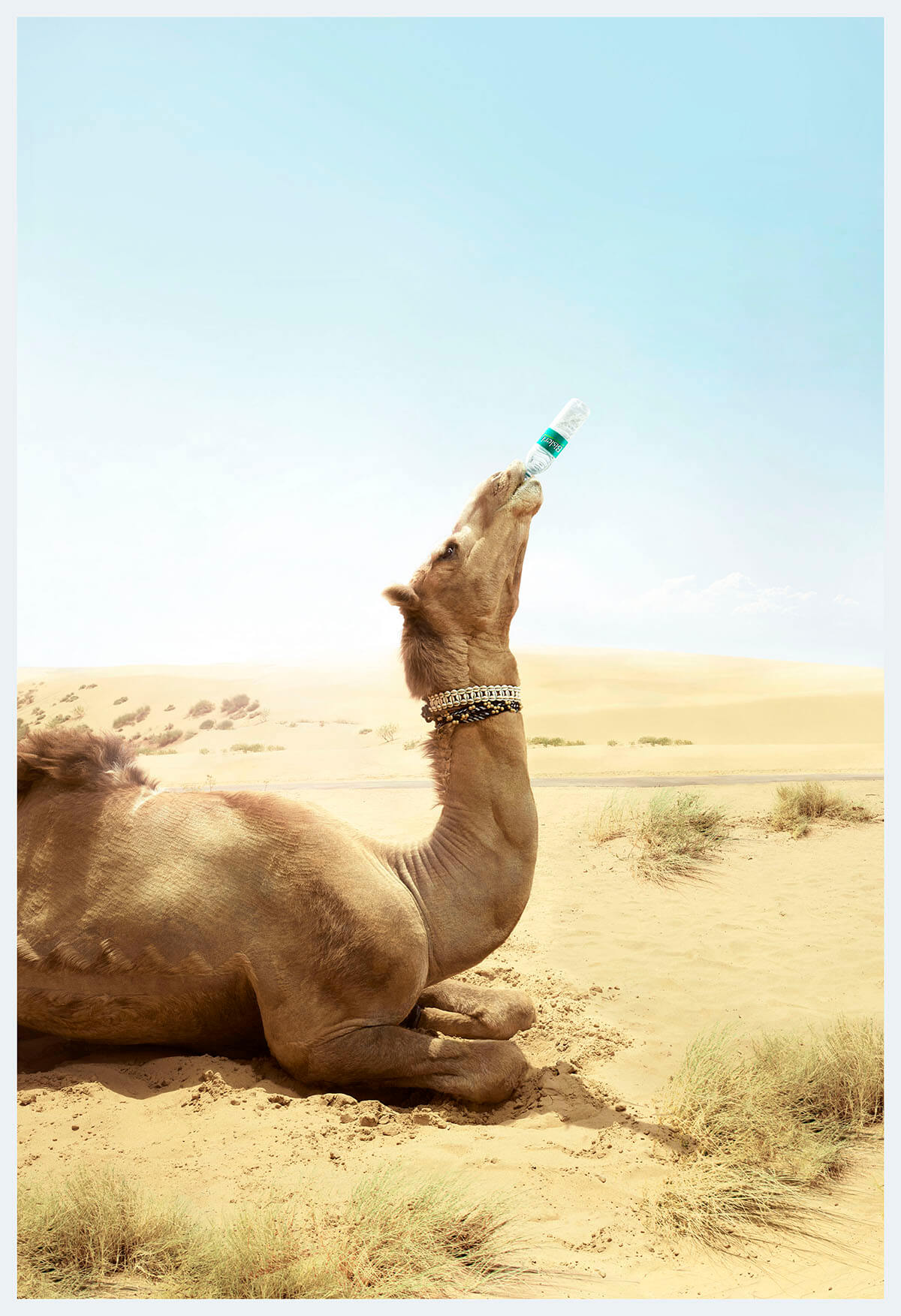 Bisleri Camel Ad